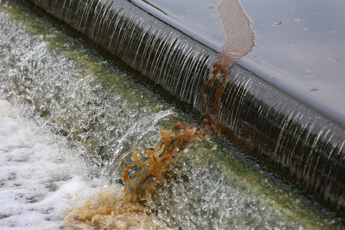 Floating sludge at final effluent