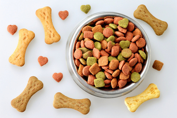Dog food in the bowl and bone shaped biscuits